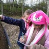 Fotografie 26 - Den Země - Venkovní aktivity