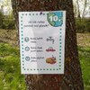 Fotografie 32 - Den Země - Venkovní aktivity