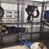 Fotografie 14 - Na návštěvě u hasičů
