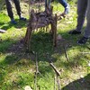 Fotografie 5 - Netradičně v hodině Merkuru