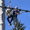 Fotografie 5 - Škola v přírodě 3. den - ADRENALIN PARK JEDLOVÁ