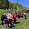 Fotografie 27 - Škola v přírodě 3. den - ADRENALIN PARK JEDLOVÁ