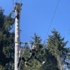 Fotografie 43 - Škola v přírodě 3. den - ADRENALIN PARK JEDLOVÁ