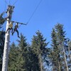 Fotografie 44 - Škola v přírodě 3. den - ADRENALIN PARK JEDLOVÁ