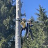 Fotografie 49 - Škola v přírodě 3. den - ADRENALIN PARK JEDLOVÁ