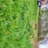 Fotografie 12 - Škola v přírodě - den 2.