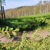 Fotografie 18 - Škola v přírodě - den 3.