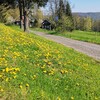 Fotografie 24 - Škola v přírodě - den 3.