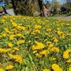 Fotografie 25 - Škola v přírodě - den 3.