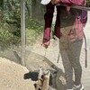 Fotografie 38 - Škola v přírodě 4. den - ZOO LIBEREC