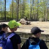 Fotografie 50 - Škola v přírodě 4. den - ZOO LIBEREC