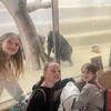 Fotografie 57 - Škola v přírodě 4. den - ZOO LIBEREC