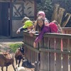 Fotografie 59 - Škola v přírodě 4. den - ZOO LIBEREC