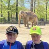 Fotografie 66 - Škola v přírodě 4. den - ZOO LIBEREC
