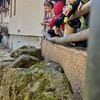 Fotografie 28 - Škola v přírodě - den 4.