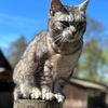 Fotografie 17 - ŠKOLA V PŘÍRODĚ - 5. den