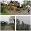 Fotografie 2 - Škola v přírodě - Jiřetín pod Jedlovou