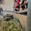 Fotografie 20 - Škola v přírodě - Jiřetín pod Jedlovou