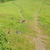 Fotografie 24 - Cvičení v přírodě - Erbenova vyhlídka