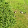 Fotografie 26 - Cvičení v přírodě - Erbenova vyhlídka