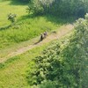 Fotografie 34 - Cvičení v přírodě - Erbenova vyhlídka