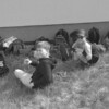Fotografie 18 - Den dětí
