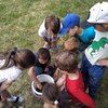 Fotografie 2 - Pečujeme o naše šneky