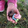 Fotografie 10 - Pečujeme o naše šneky