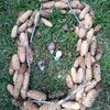 Fotografie 16 - Pečujeme o naše šneky