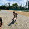Fotografie 8 - Kuželkový král/královna