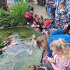 Fotografie 7 - Výlet na farmu