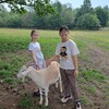 Fotografie 17 - Výlet na farmu