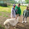 Fotografie 20 - Výlet na farmu
