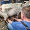 Fotografie 23 - Výlet na farmu