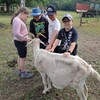 Fotografie 25 - Výlet na farmu
