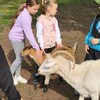 Fotografie 26 - Výlet na farmu