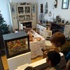 Fotografie 13 - Alpakárna, Funpark a muzeum v Mostě