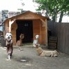 Fotografie 23 - Alpakárna, Funpark a muzeum v Mostě