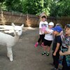 Fotografie 26 - Alpakárna, Funpark a muzeum v Mostě