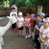 Fotografie 28 - Alpakárna, Funpark a muzeum v Mostě