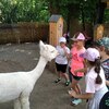 Fotografie 33 - Alpakárna, Funpark a muzeum v Mostě