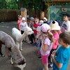 Fotografie 34 - Alpakárna, Funpark a muzeum v Mostě