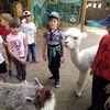 Fotografie 35 - Alpakárna, Funpark a muzeum v Mostě