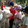 Fotografie 36 - Alpakárna, Funpark a muzeum v Mostě