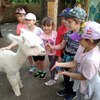 Fotografie 37 - Alpakárna, Funpark a muzeum v Mostě