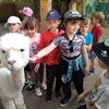 Fotografie 38 - Alpakárna, Funpark a muzeum v Mostě