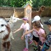 Fotografie 40 - Alpakárna, Funpark a muzeum v Mostě