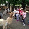 Fotografie 42 - Alpakárna, Funpark a muzeum v Mostě