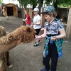 Fotografie 43 - Alpakárna, Funpark a muzeum v Mostě