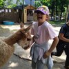 Fotografie 45 - Alpakárna, Funpark a muzeum v Mostě